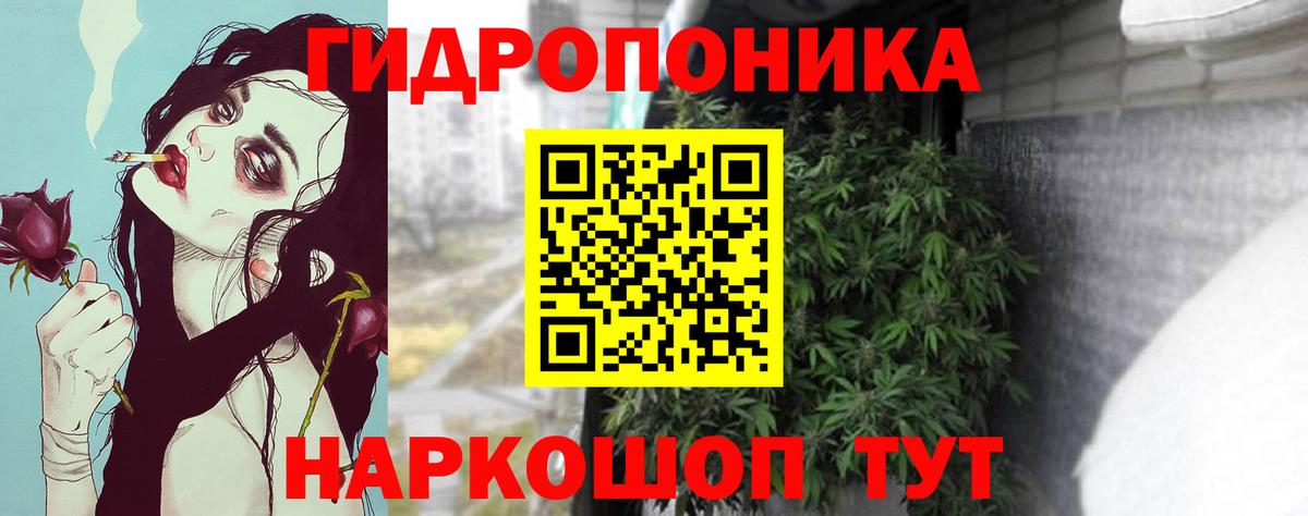МАРИХУАНА конопля Азов